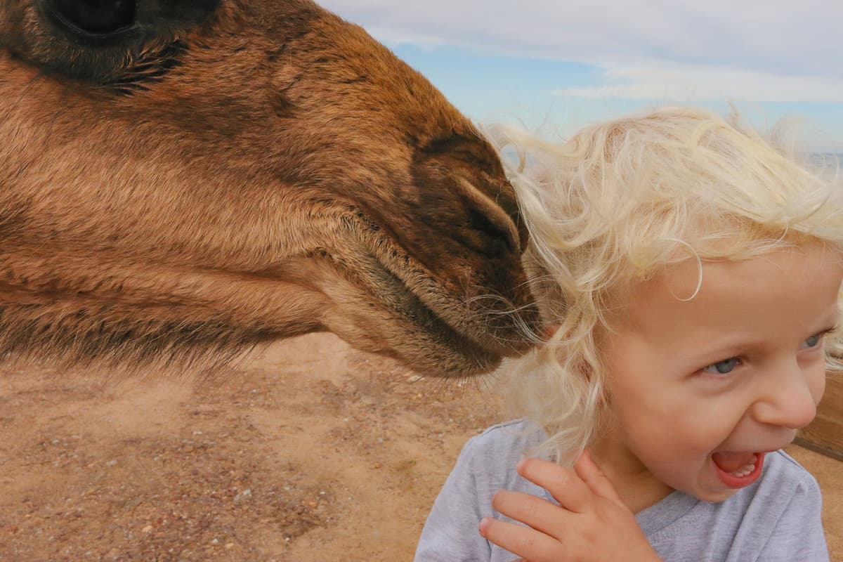 Family & Children Photo Retouching Portfolio, photo 3