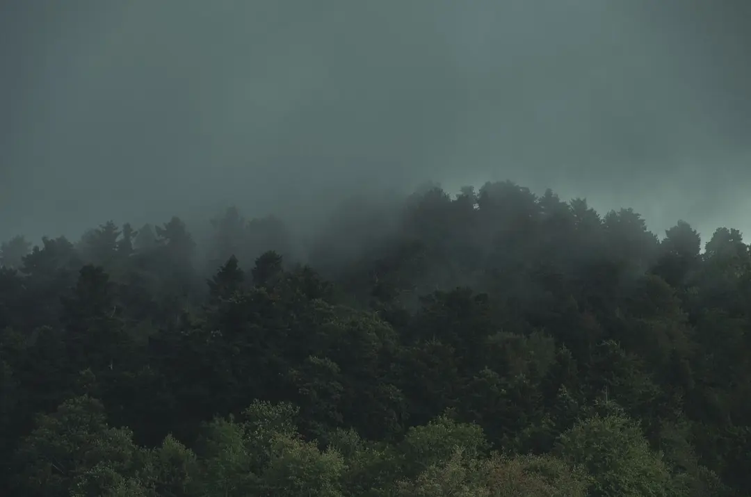 How to take pictures in fog, example 6