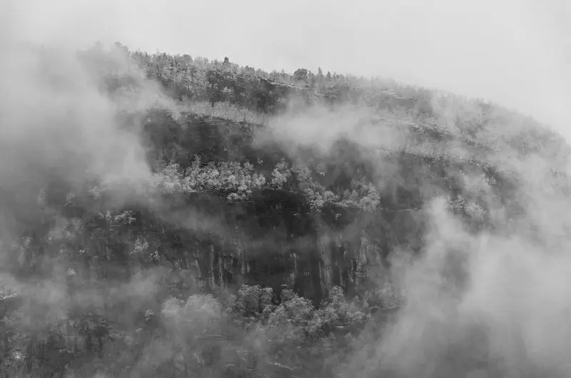 How to take photos in fog