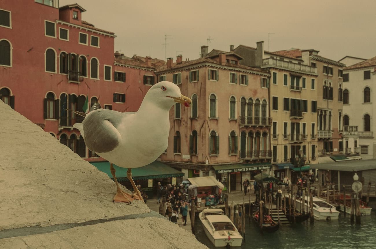 One cloudy day in Venice - 03