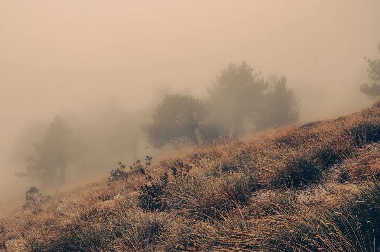 How to take pictures in fog, example 1