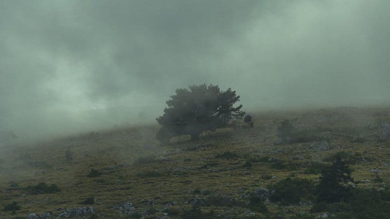 Between Clouds and Peaks