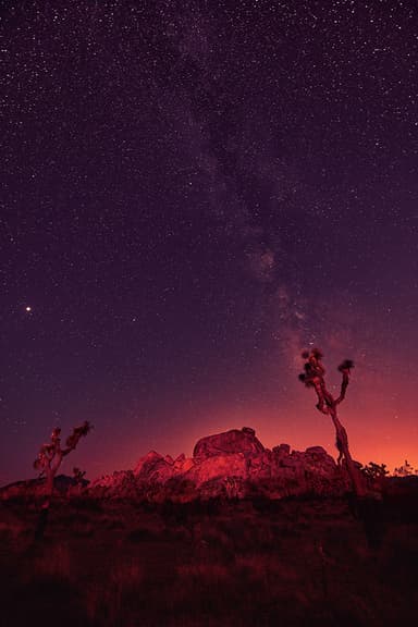 Milky Way over desert rocks and Joshua tree silhouettes; sky enhancement, color correction, and artistic grading for a moody night look