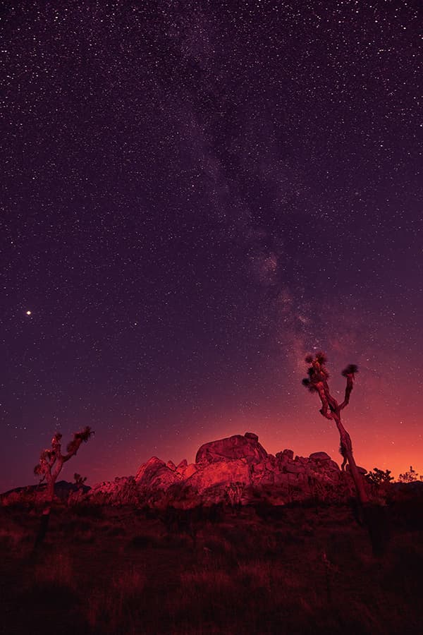 Milky Way over desert rocks and Joshua tree silhouettes; sky enhancement, color correction, and artistic grading for a moody night look
