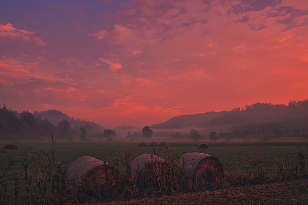 Foggy meadow with hay bales at sunrise; enhancement of moody lighting, color correction, and natural and accurate color balancing