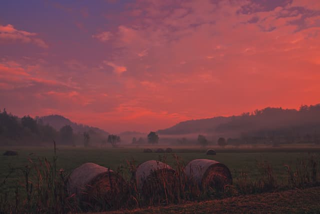 Foggy meadow with hay bales at sunrise; enhancement of moody lighting, color correction, and natural and accurate color balancing